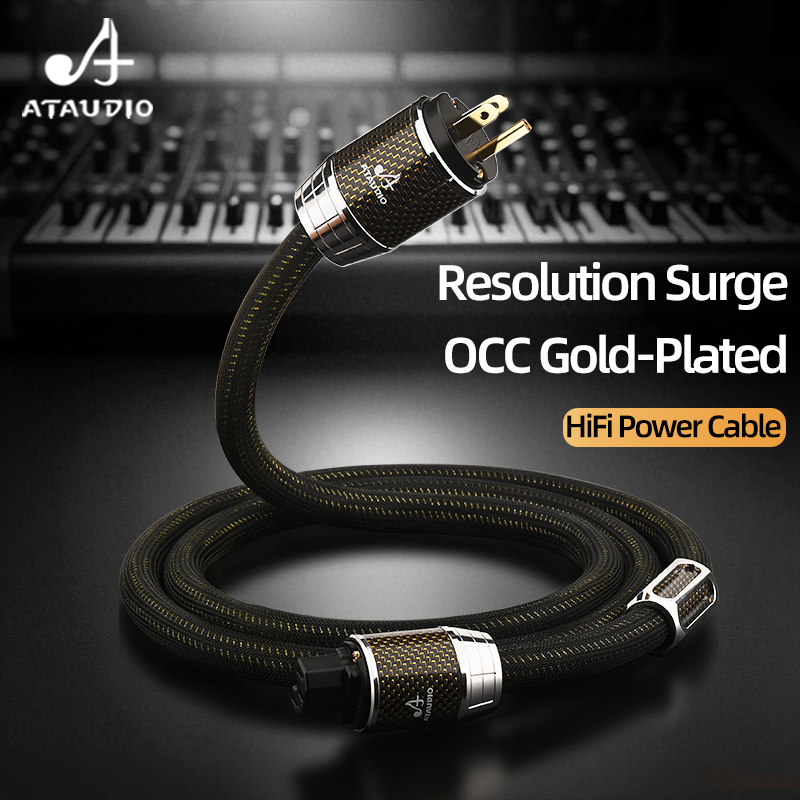Carbon Filter Inline - ATAUDIO HiFi كابل الطاقة مع الاتحاد